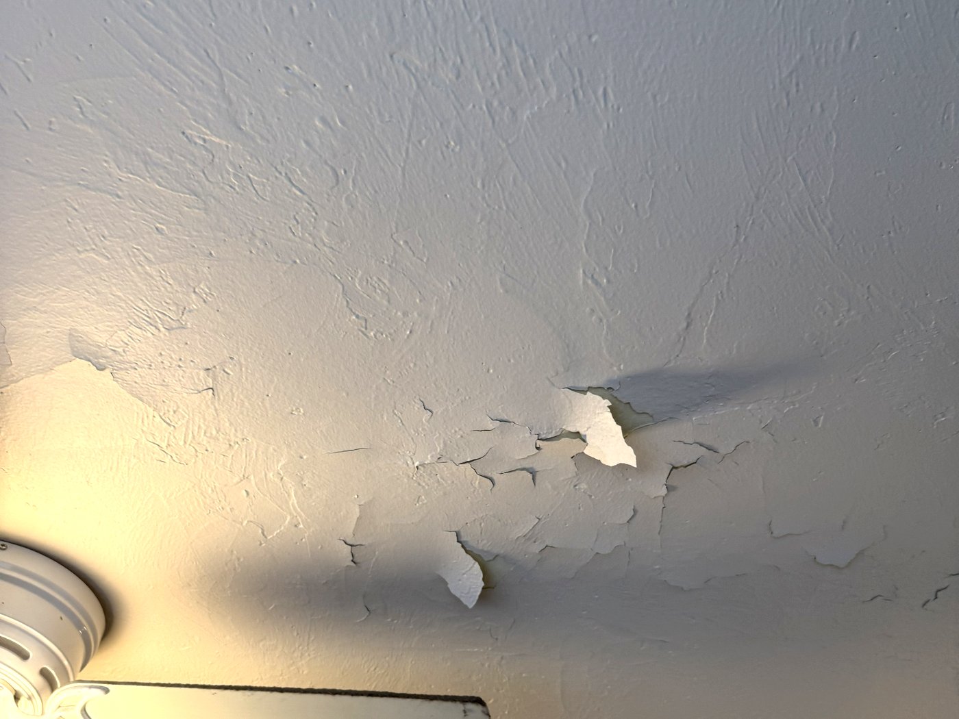 Living room ceiling with paint flaking away in sheets around the fan